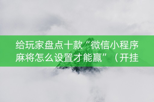 给玩家盘点十款“微信小程序麻将怎么设置才能赢”（开挂辅助插件)
