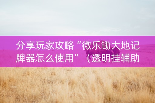 分享玩家攻略“微乐锄大地记牌器怎么使用”（透明挂辅助器)