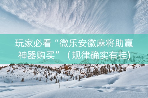 玩家必看“微乐安徽麻将助赢神器购买”（规律确实有挂)