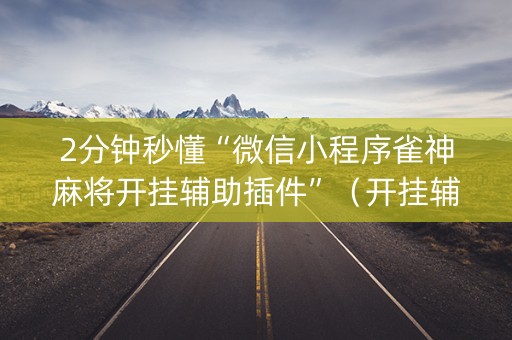 2分钟秒懂“微信小程序雀神麻将开挂辅助插件”（开挂辅助器脚本)