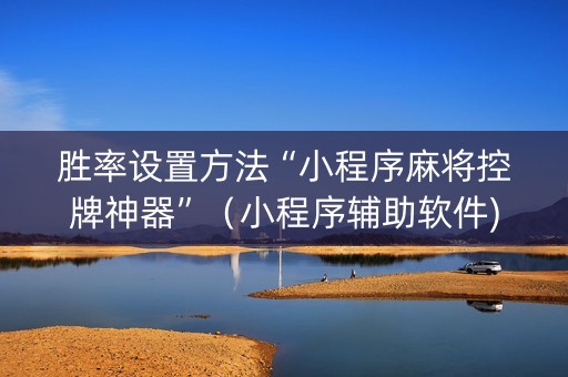 胜率设置方法“小程序麻将控牌神器”（小程序辅助软件)