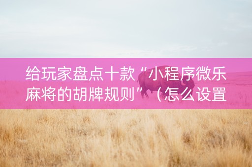 给玩家盘点十款“小程序微乐麻将的胡牌规则”（怎么设置才能赢)