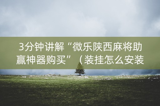 3分钟讲解“微乐陕西麻将助赢神器购买”（装挂怎么安装)