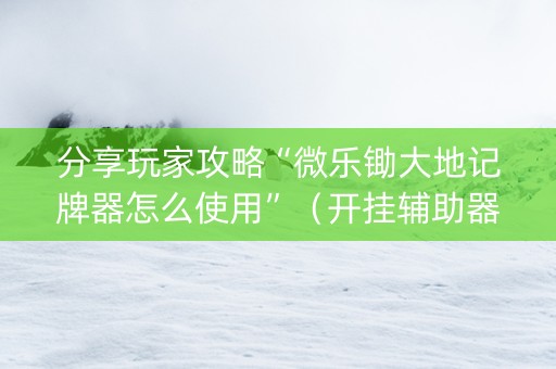 分享玩家攻略“微乐锄大地记牌器怎么使用”（开挂辅助器插件)