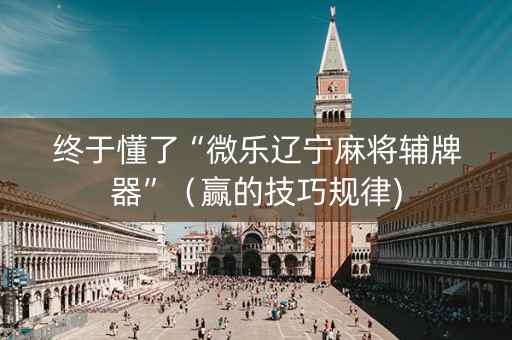 终于懂了“微乐辽宁麻将辅牌器”（赢的技巧规律)