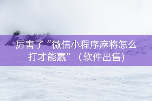 厉害了“微信小程序麻将怎么打才能赢”（软件出售)