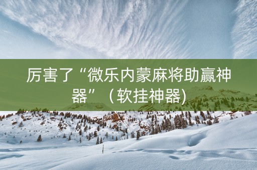 厉害了“微乐内蒙麻将助赢神器”（软挂神器)