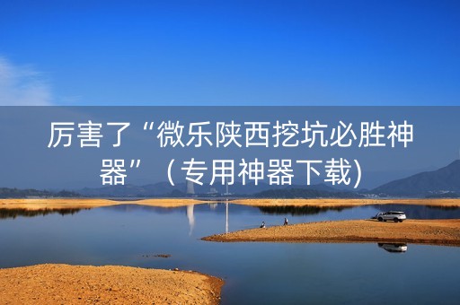 厉害了“微乐陕西挖坑必胜神器”（专用神器下载)