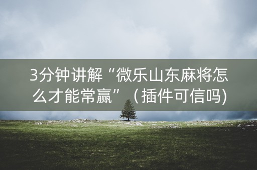 3分钟讲解“微乐山东麻将怎么才能常赢”（插件可信吗)