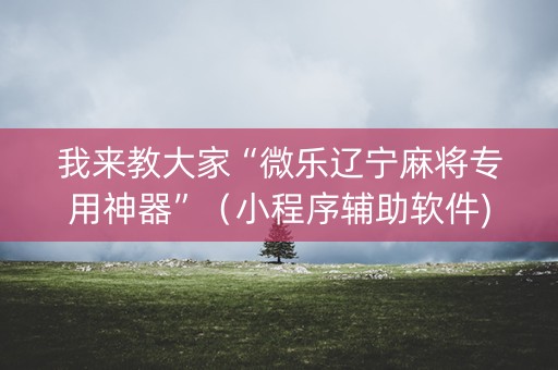 我来教大家“微乐辽宁麻将专用神器”（小程序辅助软件)