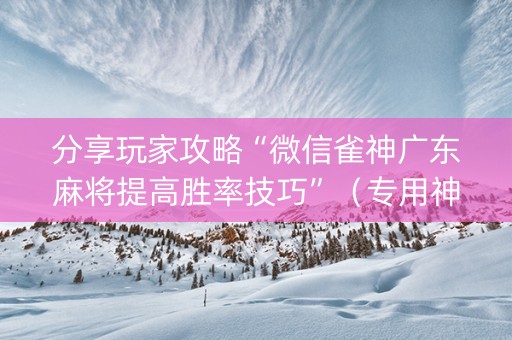 分享玩家攻略“微信雀神广东麻将提高胜率技巧”（专用神器)