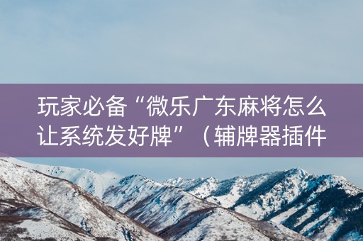 玩家必备“微乐广东麻将怎么让系统发好牌”（辅牌器插件购买)