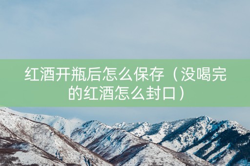 红酒开瓶后怎么保存（没喝完的红酒怎么封口）