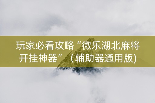 玩家必看攻略“微乐湖北麻将开挂神器”（辅助器通用版)