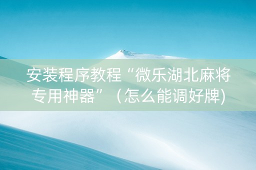安装程序教程“微乐湖北麻将专用神器”（怎么能调好牌)