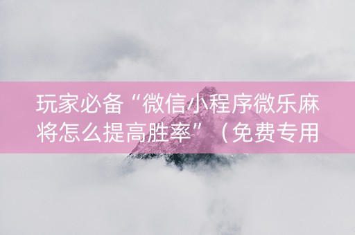 玩家必备“微信小程序微乐麻将怎么提高胜率”（免费专用神器)