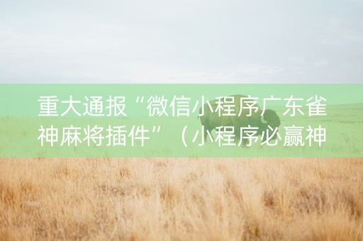 重大通报“微信小程序广东雀神麻将插件”（小程序必赢神器)