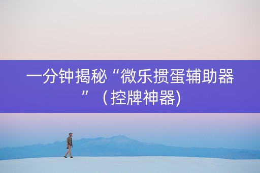 一分钟揭秘“微乐掼蛋辅助器”（控牌神器)