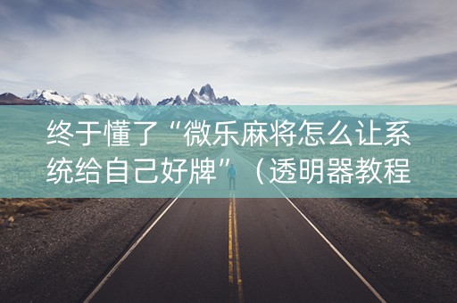 终于懂了“微乐麻将怎么让系统给自己好牌”（透明器教程)