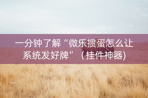 一分钟了解“微乐掼蛋怎么让系统发好牌”（挂件神器)