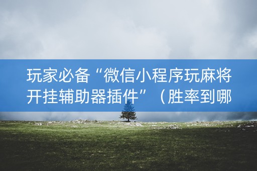 玩家必备“微信小程序玩麻将开挂辅助器插件”（胜率到哪调)