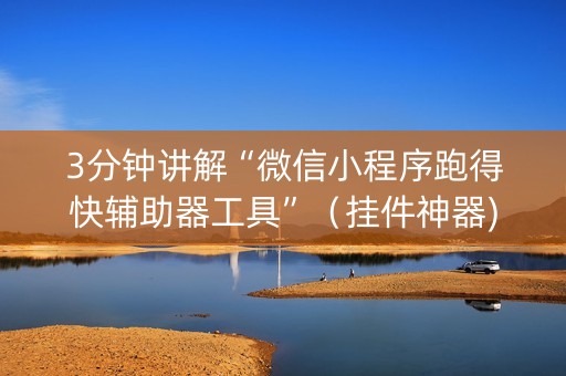 3分钟讲解“微信小程序跑得快辅助器工具”（挂件神器)