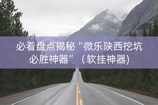 必看盘点揭秘“微乐陕西挖坑必胜神器”（软挂神器)