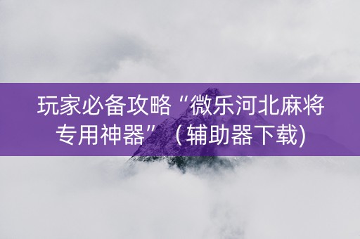 玩家必备攻略“微乐河北麻将专用神器”（辅助器下载)