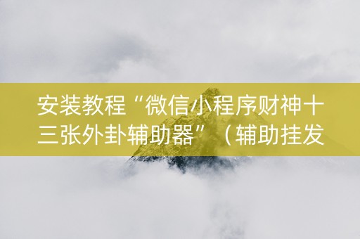 安装教程“微信小程序财神十三张外卦辅助器”（辅助挂发牌规律)