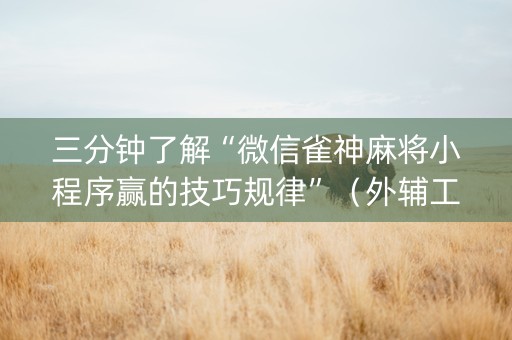 三分钟了解“微信雀神麻将小程序赢的技巧规律”（外辅工具)