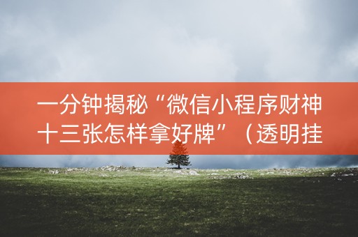 一分钟揭秘“微信小程序财神十三张怎样拿好牌”（透明挂辅助器)