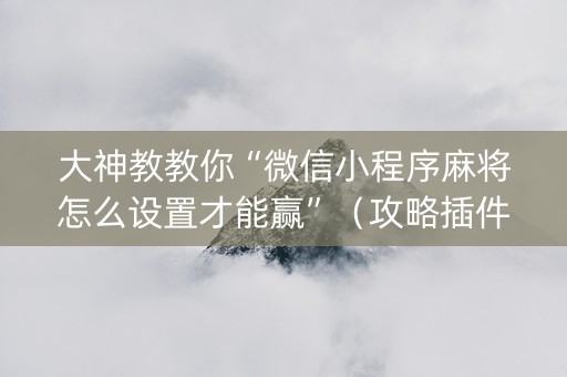 大神教教你“微信小程序麻将怎么设置才能赢”（攻略插件)
