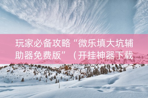 玩家必备攻略“微乐填大坑辅助器免费版”（开挂神器下载)