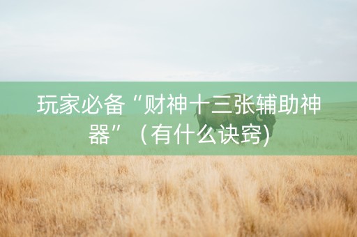 玩家必备“财神十三张辅助神器”（有什么诀窍)