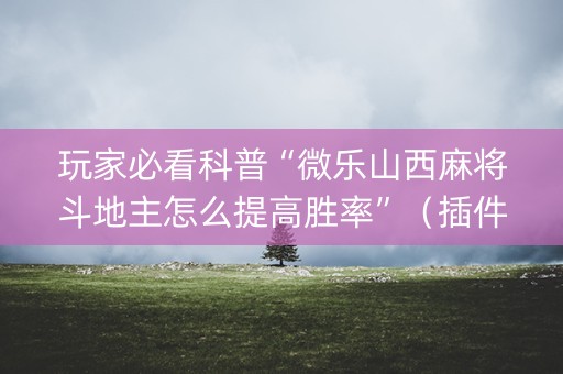 玩家必看科普“微乐山西麻将斗地主怎么提高胜率”（插件可信吗)