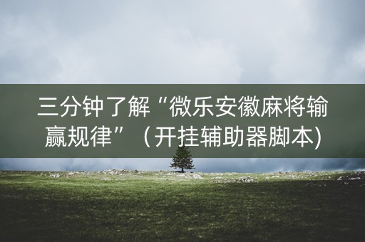三分钟了解“微乐安徽麻将输赢规律”（开挂辅助器脚本)