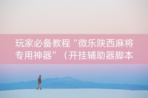 玩家必备教程“微乐陕西麻将专用神器”（开挂辅助器脚本)