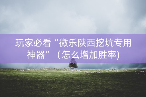 玩家必看“微乐陕西挖坑专用神器”（怎么增加胜率)