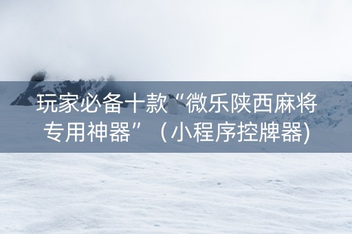 玩家必备十款“微乐陕西麻将专用神器”（小程序控牌器)
