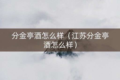 分金亭酒怎么样（江苏分金亭酒怎么样）