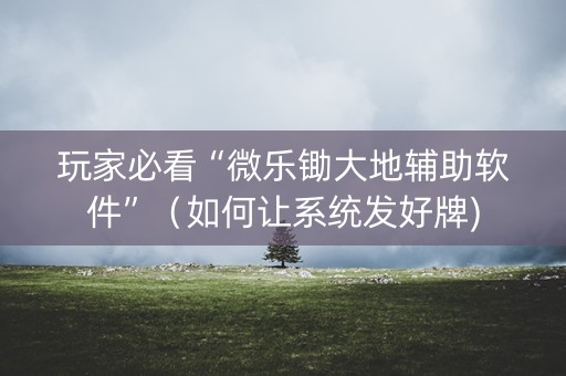 玩家必看“微乐锄大地辅助软件”（如何让系统发好牌)