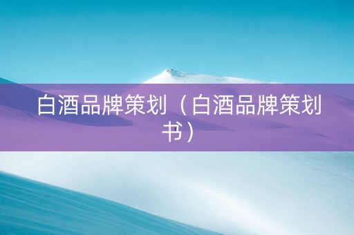 白酒品牌策划（白酒品牌策划书）