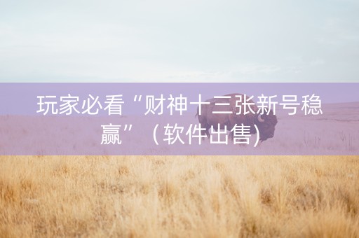 玩家必看“财神十三张新号稳赢”（软件出售)