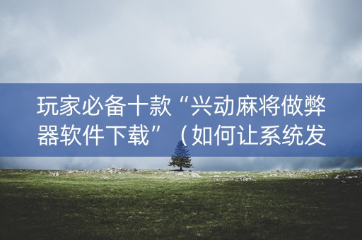 玩家必备十款“兴动麻将做弊器软件下载”（如何让系统发好牌)