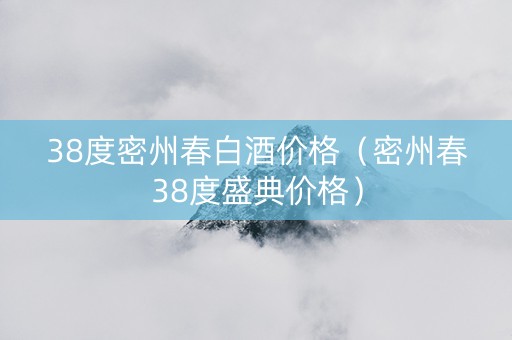 38度密州春白酒价格（密州春38度盛典价格）