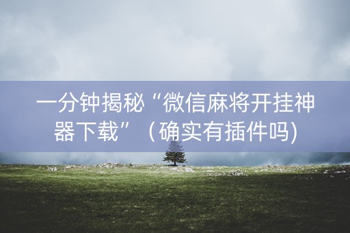 一分钟揭秘“微信麻将开挂神器下载”（确实有插件吗)