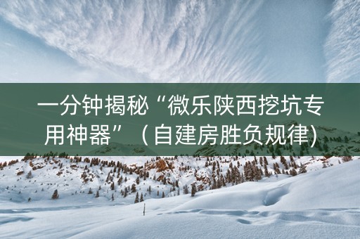 一分钟揭秘“微乐陕西挖坑专用神器”（自建房胜负规律)