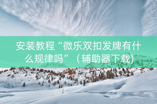 安装教程“微乐双扣发牌有什么规律吗”（辅助器下载)