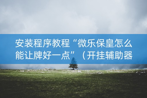 安装程序教程“微乐保皇怎么能让牌好一点”（开挂辅助器脚本)