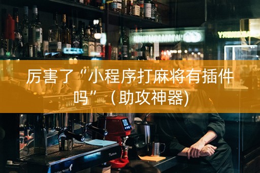 厉害了“小程序打麻将有插件吗”（助攻神器)